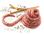 SALSICCIA GROPPINO LEVI T/1,8    
